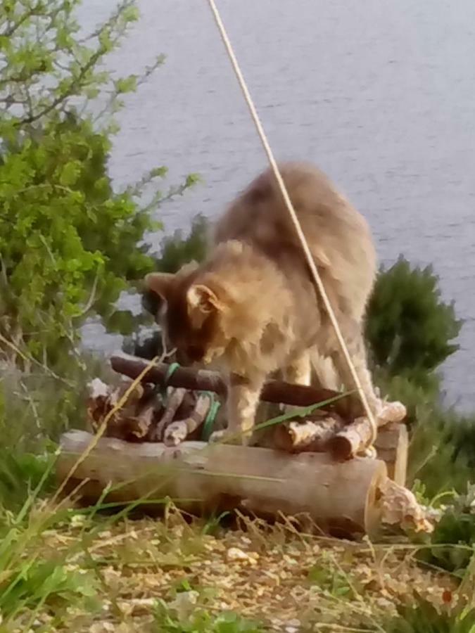 Camping Aloa Bol Dış mekan fotoğraf