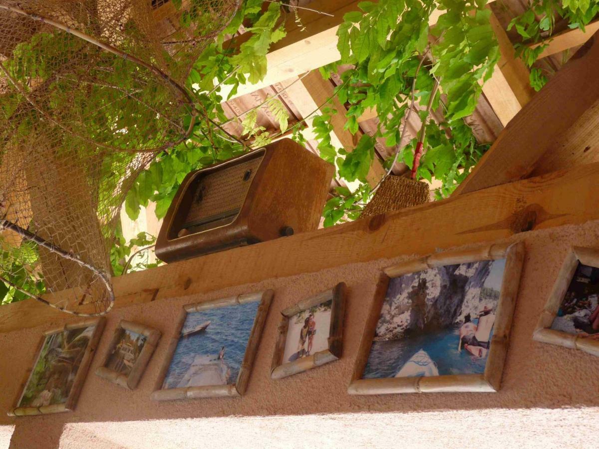 Camping Aloa Bol Dış mekan fotoğraf